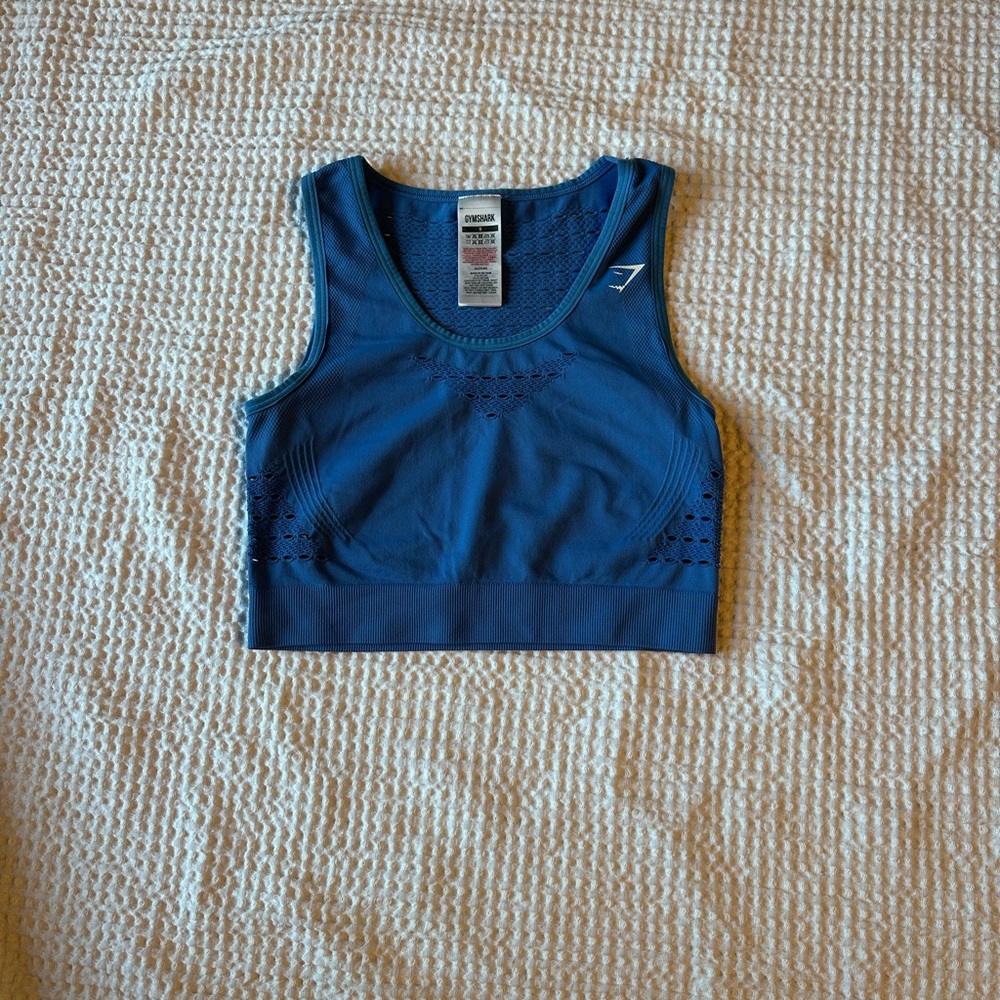 Gymshark Energy Seamless Blue Crop Top